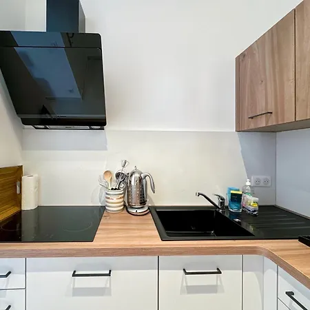 Tivoli Monaco: Renovated 2-bedroom With Terrace Near Monte Carlo Apartment *